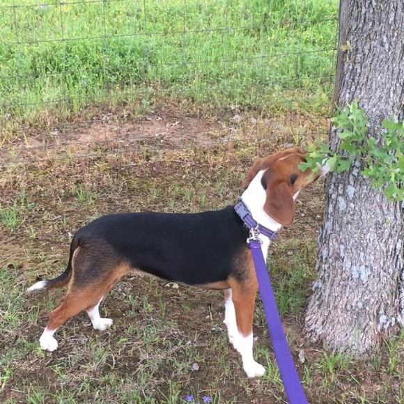 Meet your Posher, Jennifer - Picture 1 of 1